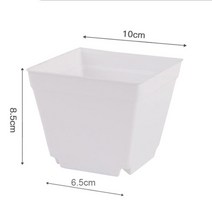 가게오픈화분 꽃잔디씨앗 여름꽃모종 국화모종 미니 화분 재배자 장 냄비 플라스틱, 흰색 10cm, 5개