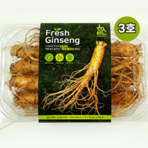 금산 고려인삼 3호 6년근 수삼 세척 인삼 꿀절임 부모님 선물