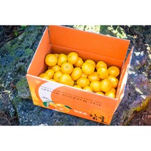 제주땡큐베리팜 22년 싱싱 달달 제주 노지 감귤 5kg 10kg 박스, 감귤 10kg(중소과2S/S)