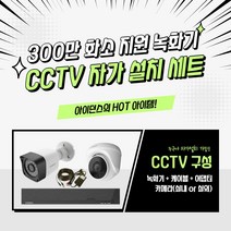 아이던스 300만화소 CCTV 세트 자가설치 실내 방범용 가정용 감시카메라, 300만화소 실외1세트 (10M케이블+어댑터)