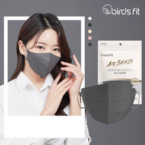 KF94 마스크 새부리형 그레이 컬러 에어쉴드 특대형 100매, 블랙(1매입), 100매입, 특대형(XL)