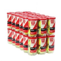 윌슨 챔피언쉽 시합구 2구(1 2 3 6 12 18 36can), 2캔