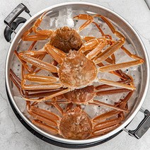 [자연맛남] 포항 구룡포 대게 5마리(실속형/중/10cm이하), 상세 설명 참조