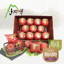 [산지애] 사과 특대과 4kg, 1개