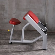 홈트 이두근 운동 팔뚝 알통 벤치 프리쳐컬 헬스장, 빨간색