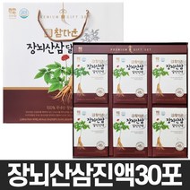 산수원 참다운 장뇌산삼 달인진액 70ml x 30포 1세트 명절 선물세트
