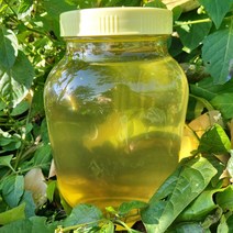 경북 예천 천연 아카시아 벌꿀 2.4kg 1개