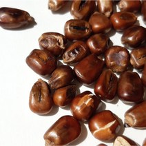 풀꽃내음 가득한 국산 볶음 옥수수차 1kg