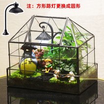 테라리움 키트 글래스 하우스 이끼테라리움 만들기 DIY 비바리움, 어린애같은(키트조립)
