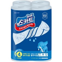 스카트 항균 프레쉬블루 빨아쓰는 행주타월 45매X4롤, 단품, 선택완료