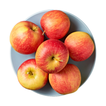 산지직송 홍로 사과 햇사과 꿀 강원도 고랭지사과, 10kg, 홍로사과 대(24내외), 1개