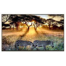 LG 울트라 HD OLED TV 125cm 벽걸이형 50UR642S0NC 바름