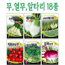 주주씨앗 무 열무 알타리 / 조춘알타리씨앗 / 열무씨앗 / 강화순무씨 / 아롱다발무 / 청수궁중무 / 청백무 / 시래기무 / 자색무 / 과일무 / 씨앗 / 김치, 11. 조춘알타리 30g