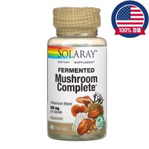 솔라레이 발효 버섯추출물 600mg 차가 노루궁뎅이 영지 아가리쿠스 동충하초 60캡슐, 600mg 60캡슐