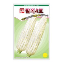 찰옥수수씨앗 35g 찰옥4호 옥수수 씨앗
