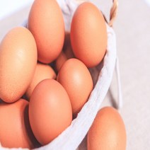 [크로바양계식품]친환경 무항생제 유정란 초란 30구