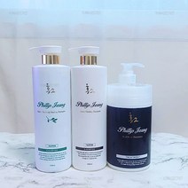 지루성두피 비듬가려움/ 천연 탈모기능성 식약처인증/ 홍2필립정 아로마 힐링샴푸 1000ml, 녹차 스캘프 샴푸 1000ml