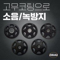 [소음없는]슈미트 12각 중량 바벨 ECO 고무 원판 10kg 20kg 5kg 15kg 2.5kg 바벨 원판 5kg 1개 바벨 원판 50mm 10kg, B-1ECO 고무원판 2.5kg