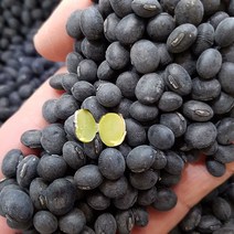 햇서리태/국산서리태/22년햇서리태/서리태/국산콩/토종서리태콩, 1kg, 1개