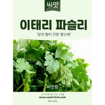 이탈리안 파슬리 씨앗(200립)