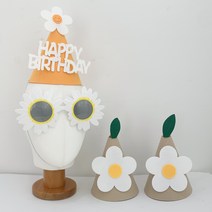 데이지룸 데이지 생일 고깔 꽃안경 세트, 베이지