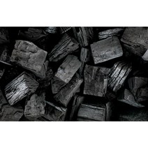 대용량 강원도 참나무 백탄 바베큐 캠핑 공기정화 참숯(박스) 10kg
