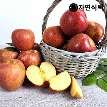 충남 예산 고당도 가정용 엔비사과 5kg(15-23과), 단품