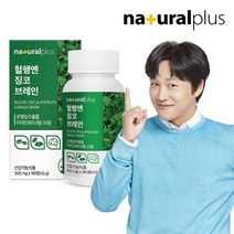 내츄럴플러스 혈행앤 징코 브레인 90정 1박스(3개월분) / 기억력 혈행개선 은행잎추출물, 선택완료, 단품없음