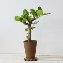 국산토분 브라운빈티지 베이직팟 소 수제토분 인테리어토분, 1개