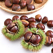 2022년 국산 햇밤 공주알밤 에어프라이어 오븐 군밤 왕밤 알밤 대사이즈 1kg, 1개