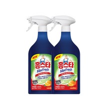 홈스타 주방용 세정제 750ml x2개, 2개