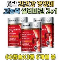 헬스 후 밀크시슬 효과 간 기능 개선 도움 실리마린 어르신 노인 실버 시니어 부모님 어머니 아버지 엄마 아빠 엉겅퀴 비타민 B 군 COMPLEX 엽산 아연 FOLICACID