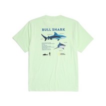 정품 내셔널지오그래픽 N222UTS970 불 샤크 백 아트웍 반팔 티셔츠 FOAM GREEN