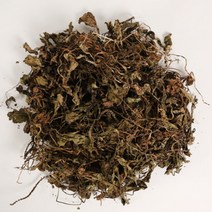 차전초 국내산 말린 차전초 질경이 200g