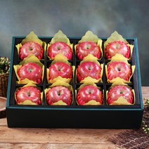 [당일배송/정성포장]진품 사과 세트 [사과12과 5kg내외] 과일선물세트 기념일