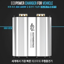 에코파워팩 초고속 주행충전기 EPP-600W (40A), 에코파워팩 EPP-600W(40A)본체 배선미포함