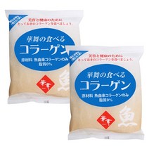 하나마이 저분자콜라겐 펩타이드 생선껍질가루 어류콜라겐 먹는일본콜라겐 분말, 100g, 2봉