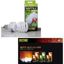 애완용품점 파충류 5.0UV등 25W 반려동물신용카드 _ 2210228EA, 쿠팡2 1, 쿠팡2 본상품선택