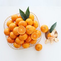 BUyuS/과일 감귤 (소과) 정품 노지 10kg굿딜 브이숍, 상세페이지 참조