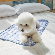 바자르 양면 쿨 매트 단품, 블루리프