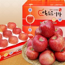 대흥농원 밀양얼음골사과 GAP인증 산지직송, 1박스, 10kg (40~55과 비품 소과)