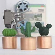 골드 선인장 3종, 아★ 골드 선인장 3종, [좋습니다]