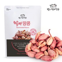 발아땅콩 국산땅콩만사용 영양소 UP, 1
