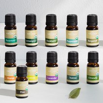 더아로마샵 유기농 에센셜 아로마 오일 라벤더 호텔 테라피 가습기 숙면에좋은향, USDA 페퍼민트 에센셜 오일, 10ml