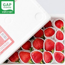 옳음 GAP 인증 고당도 논산 설향 딸기 산지직송 900g 1박스, 설향/상(5호)/35구/900g/일반포장