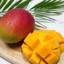 애플망고 4kg 골드망고 고당도 대만 생망고