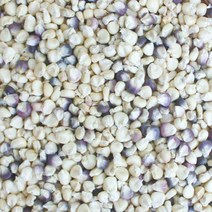 자연나라닷컴 찰옥수수쌀 3kg 찰옥수수 옥수수파는곳 말린옥수수 마른옥수수 국내산 잡곡 곡물