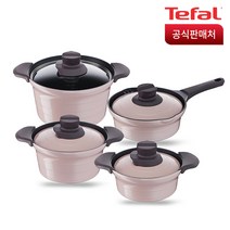 테팔 트레져 IH 인덕션 냄비세트 4종, 혼합 색상, 라면 냄비 20cm + 뚝배기 18cm + 찌개 20cm + 국 24cm