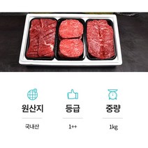 1++ 한우 선물 세트 1호 1kg, 1세트