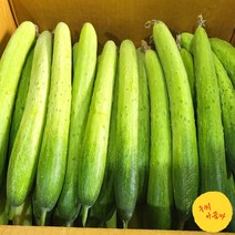 구씨아줌마 국내산 못난이 백오이 백다다기오이 다다기오이 5kg 10kg, 못난이 백오이 5kg, 1개